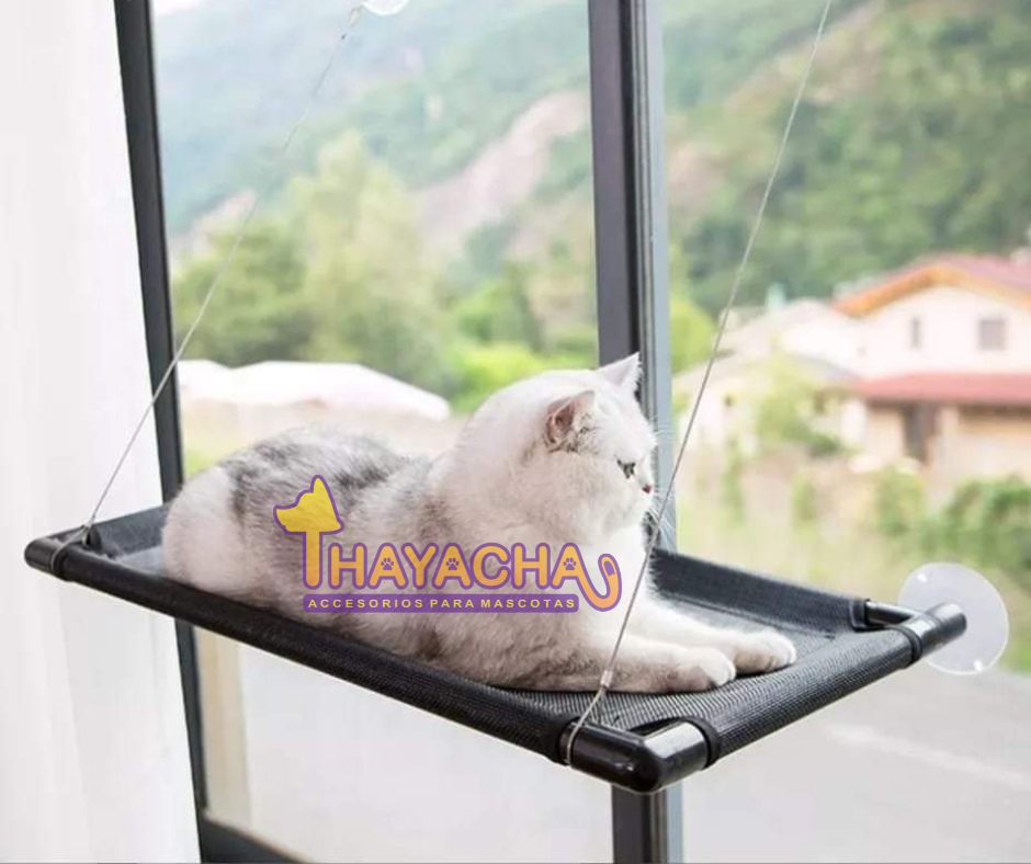 Hamaca de ventana para gatos GRANDE Bobby - Cat-oh pet shop